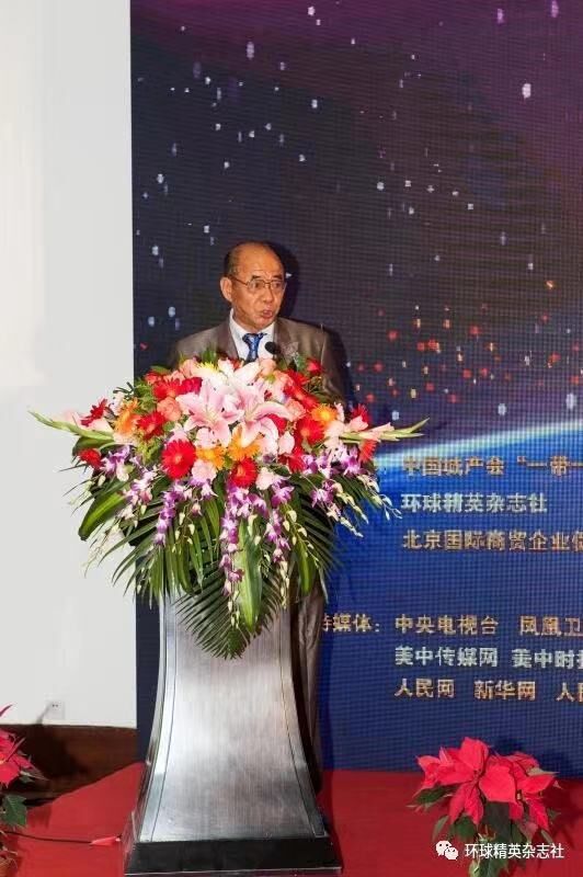 联合国网合集团主席林启樵庆祝中国共产党成立100周年活动