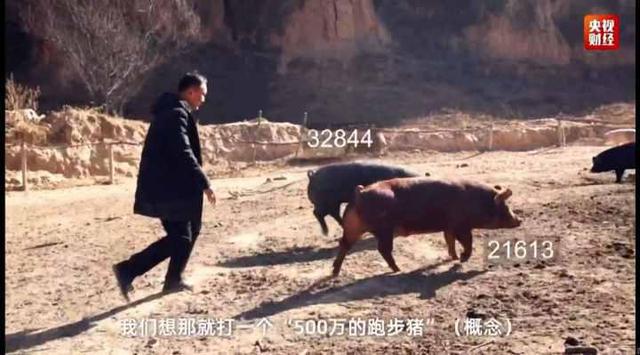 一份来自大江南北的“新农货”菜单火了！科技新年货绘制数字乡村新图景