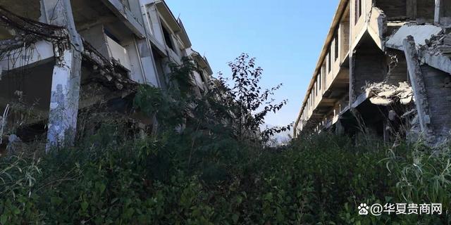 建设用地无规划许遭拆除 冰清茶叶：保山营商环境十分糟糕