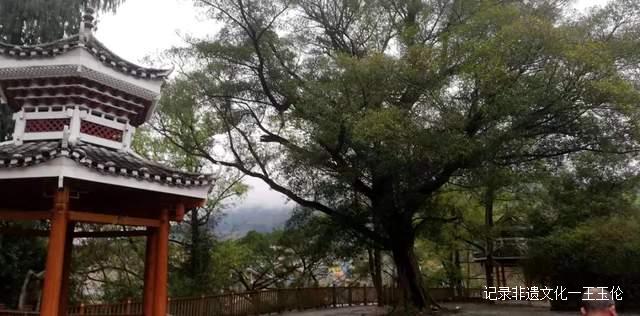 只用约好人,再踩一jio油门就行了