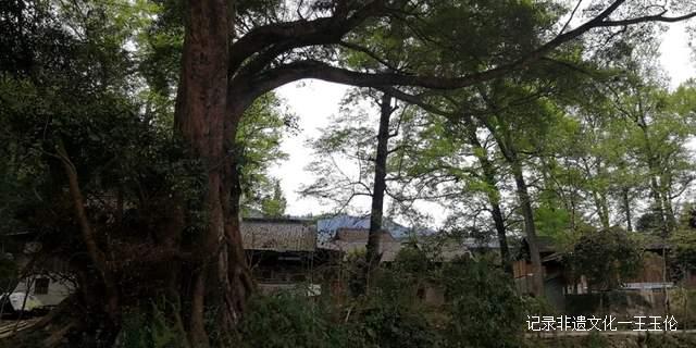 只用约好人,再踩一jio油门就行了