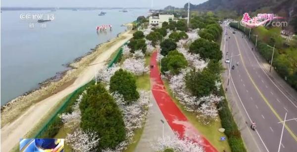 春天的中国| 借农力旅融合“美丽经济”促进乡村振兴