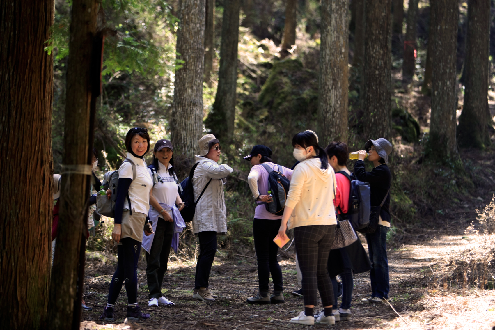関西中华总商会举办春季郊游活动