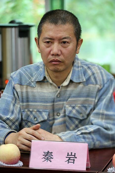 关于秦岩与“周秦汉唐”及“秦”美术设计及版权说明 