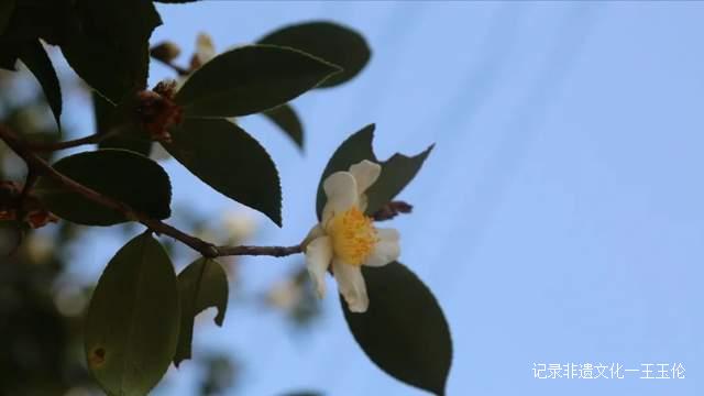 这个秋天,带你探寻非遗文化记忆
