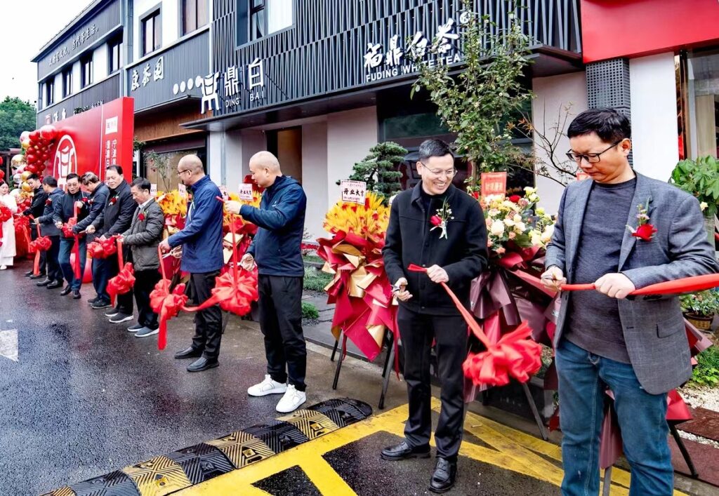 福鼎白茶助力共富，“鼎白”香溢宁波