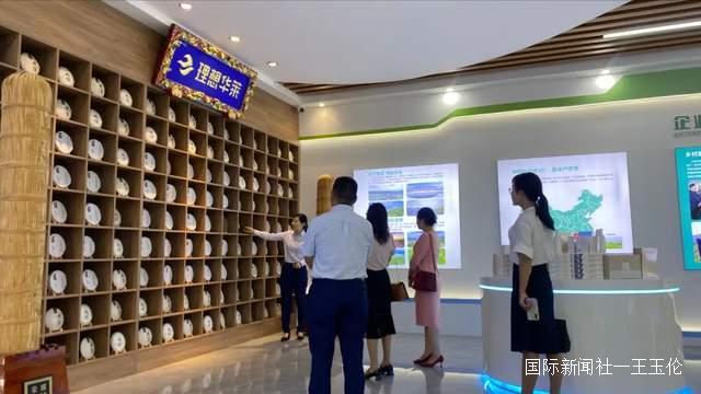 云南省思茅区委统战副部长郭鸽,莅临理想华莱云南营销中心调研
