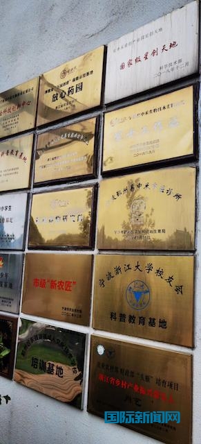 5.20第八届仙耕文化旅游节暨生命健康论坛在宁波举行