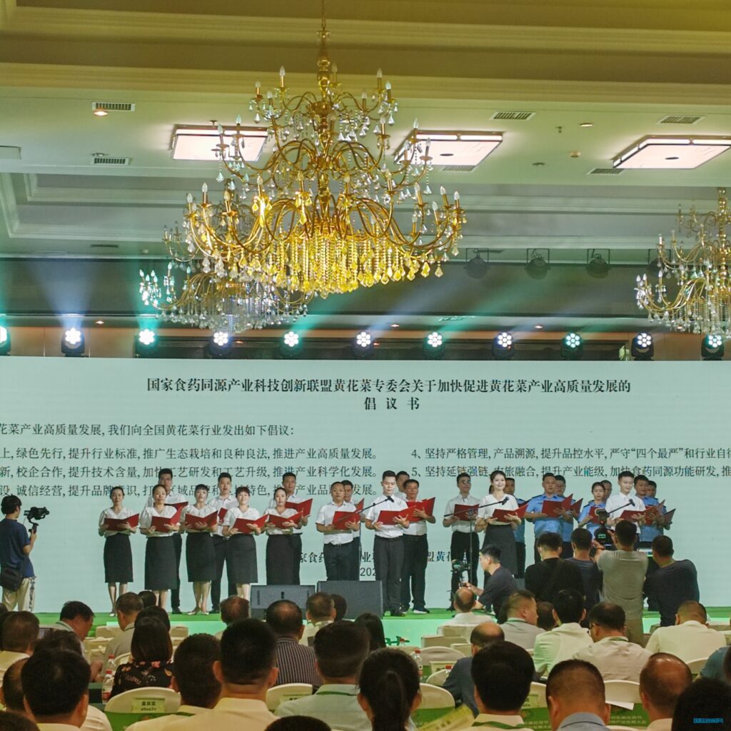 中国黄花菜之乡 祁东县举办第三届黄花菜节暨食药同源产业发展大会