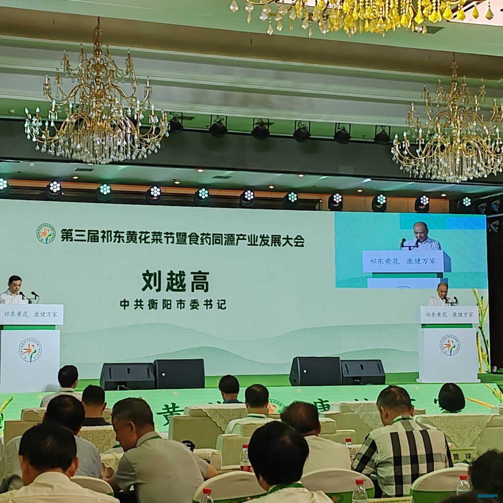 中国黄花菜之乡 祁东县举办第三届黄花菜节暨食药同源产业发展大会