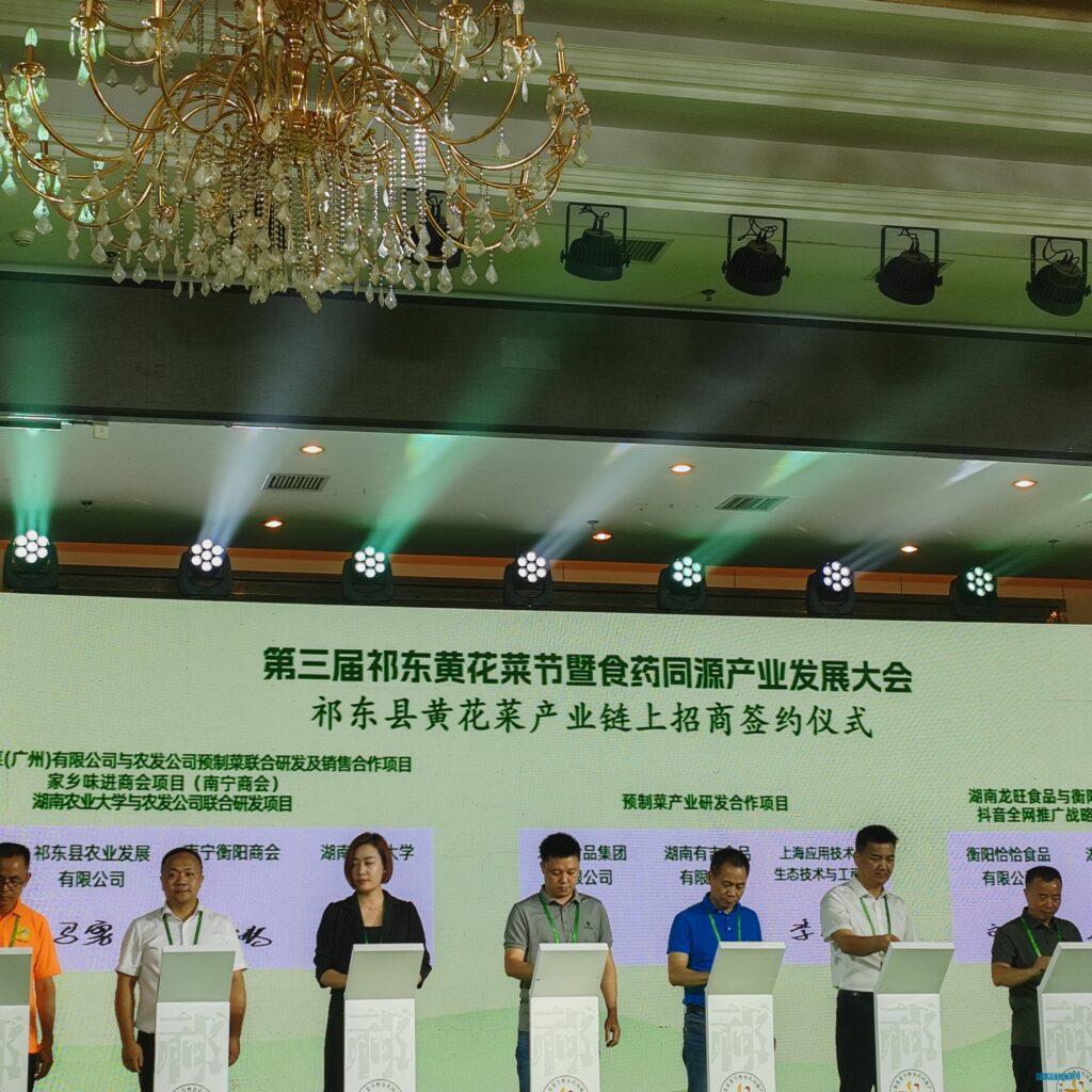 中国黄花菜之乡 祁东县举办第三届黄花菜节暨食药同源产业发展大会