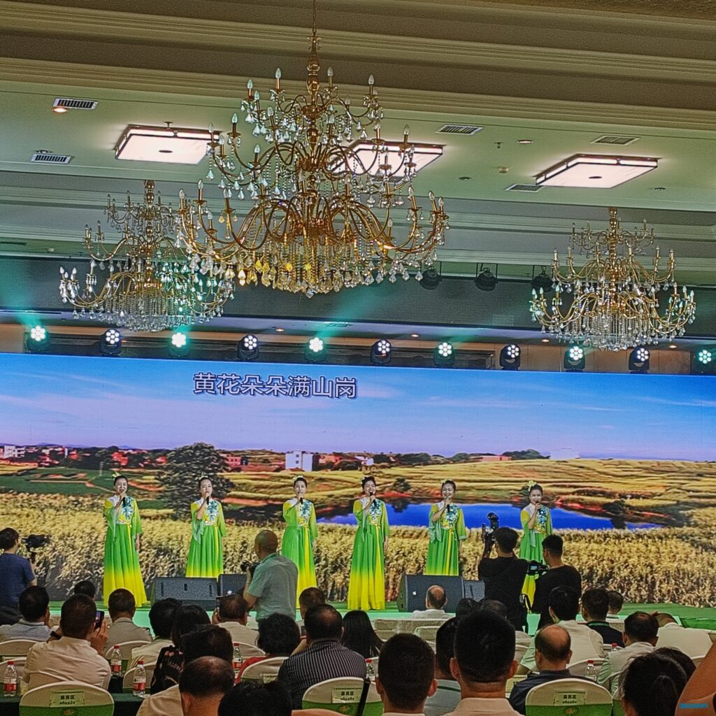 第三届祁东黄花节暨食药同源产业发展大会非遗特色活动展演