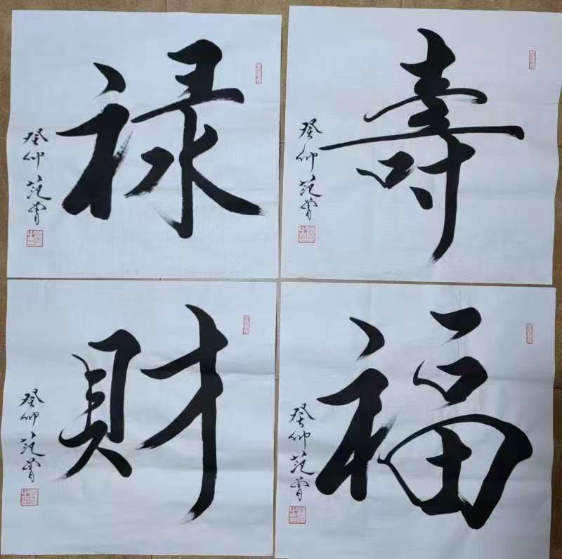 中国当代书坛十大书法家作品集
