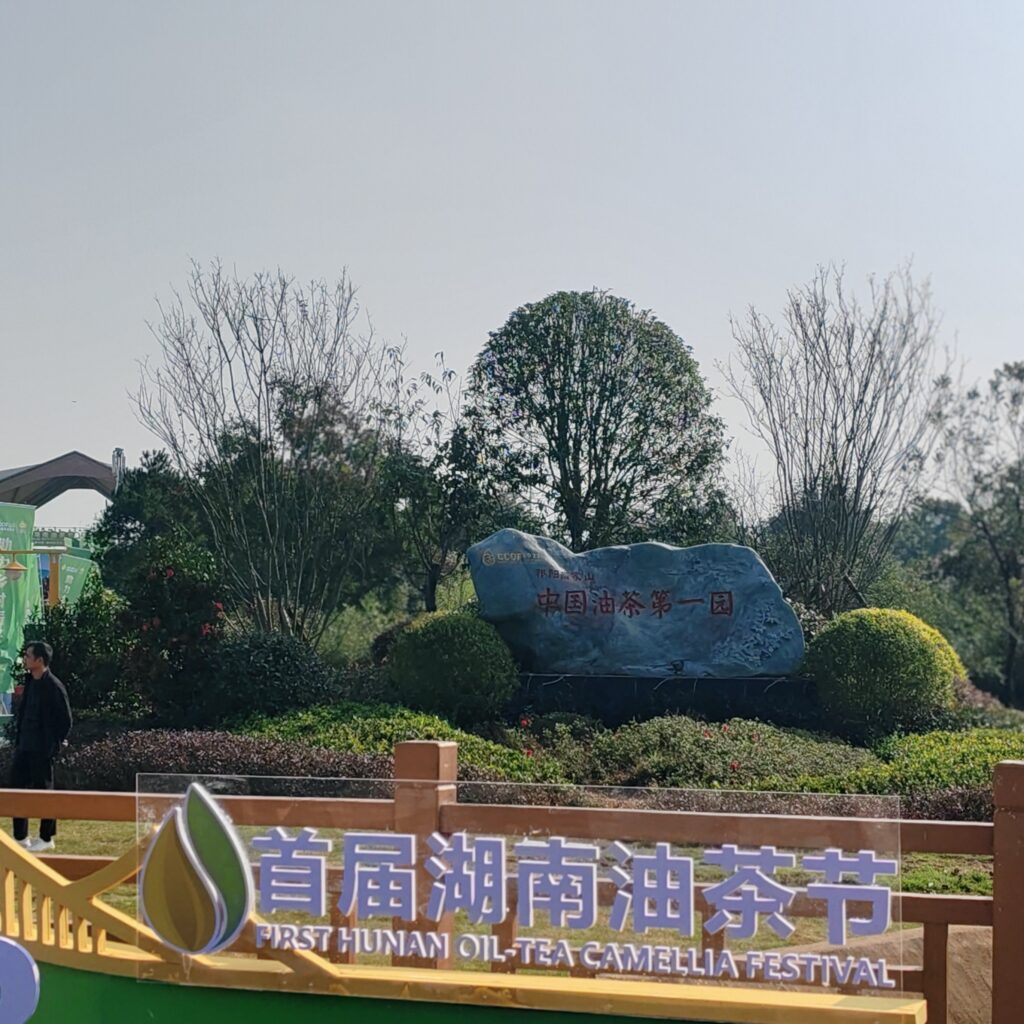 首届湖南油茶节在祁阳开幕
