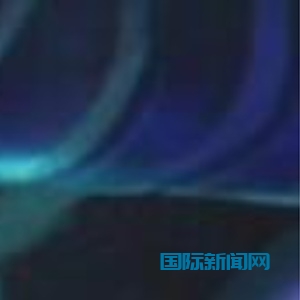 1231的头像